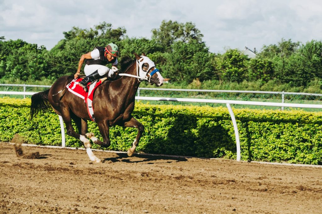 Course de cheval 